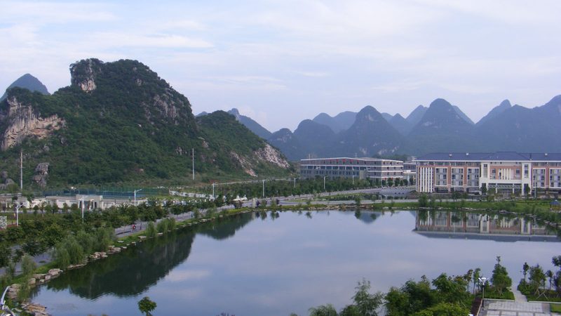 国产电子模块：解析其优缺点，助力明智选择